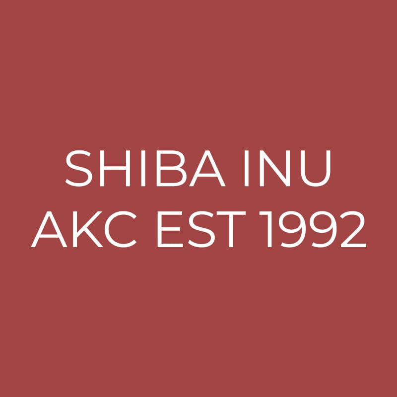 Shiba Inu Embroidered AKC Quarter Zip