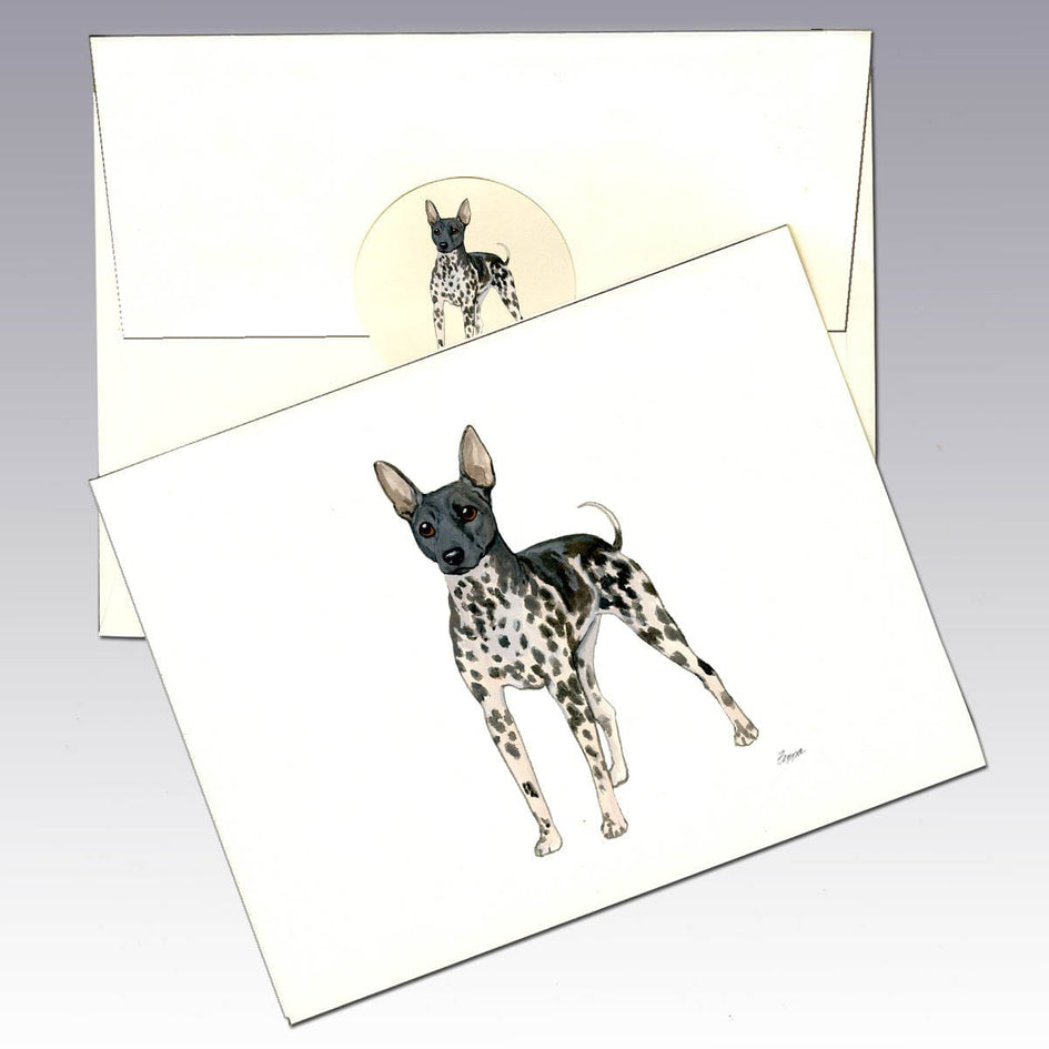 American Hairless Terrier Note Cards