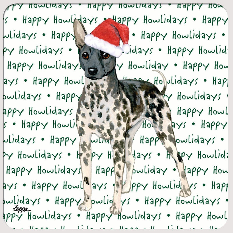 American Hairless Terrier 