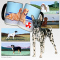American Hairless Terrier  Scenic Mug