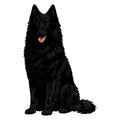 Belgian Sheepdog Watercolor - Ceramic Mug