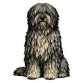 Bergamasco Sheepdog Watercolor - Ceramic Mug