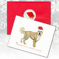 Berger Picard Christmas Note Cards
