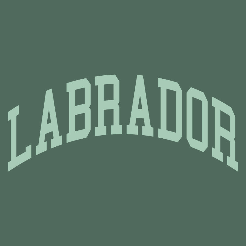 Labrador Mock Neck Sweatshirt