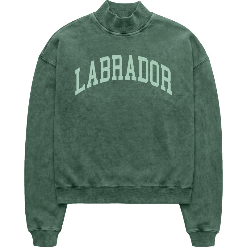 Labrador Mock Neck Sweatshirt