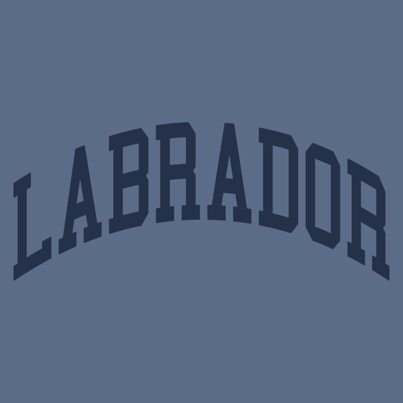 Labrador Mock Neck Sweatshirt