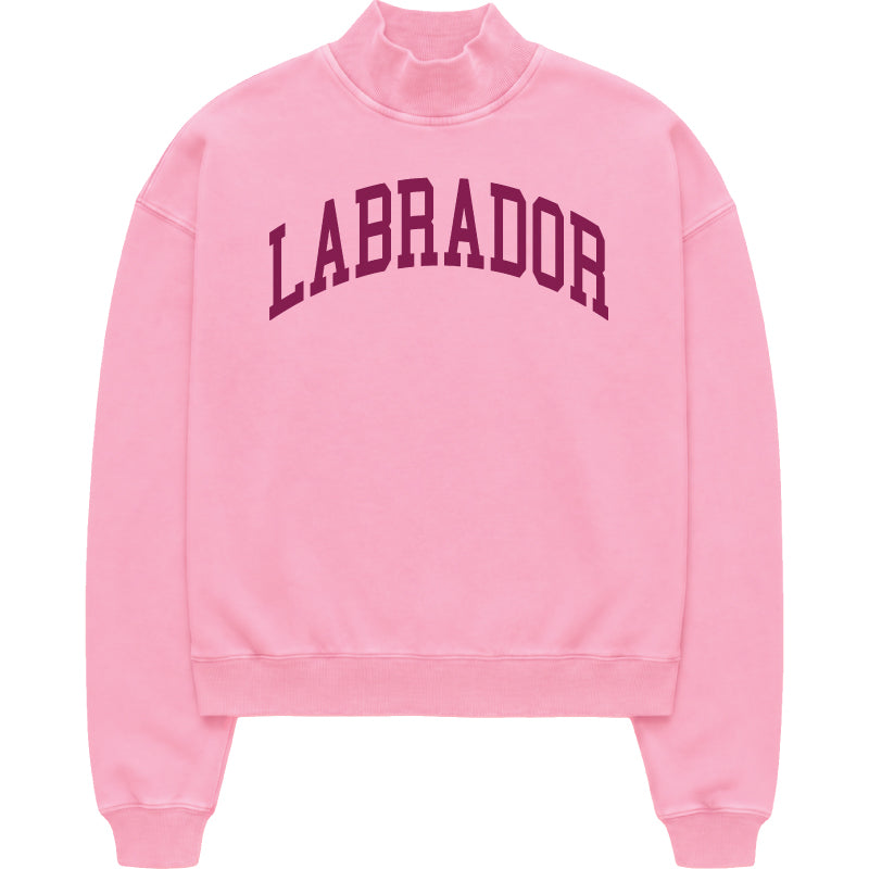 Labrador Mock Neck Sweatshirt