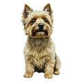 Cairn Terrier Watercolor - Ceramic Mug