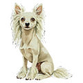 Chinese Crested Watercolor - Ceramic Mug
