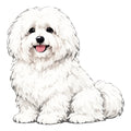 Coton de Tulear Watercolor - Ceramic Mug