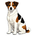 Danish-Swedish Farmdog Watercolor - Ceramic Mug