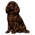 Field Spaniel Watercolor - Ceramic Mug