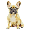 French Bulldog Watercolor - Ceramic Mug