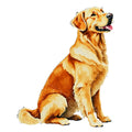 Golden Retriever Watercolor - Ceramic Mug