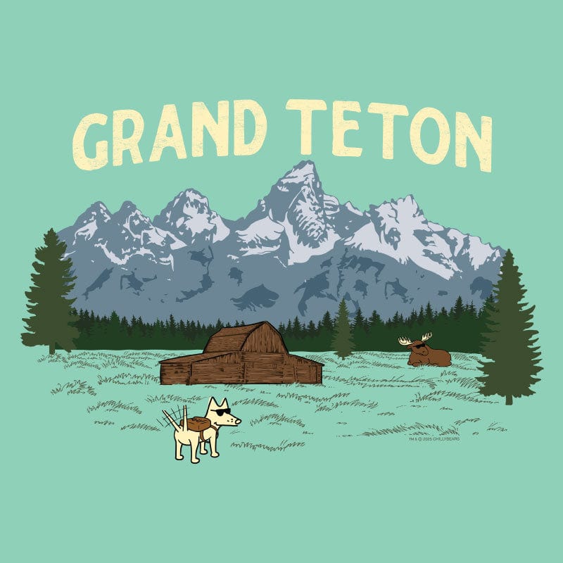 Grand Teton - Sweatshirt Pullover Hoodie