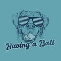 Having a Ball - Sweatshirt Pullover Hoodie