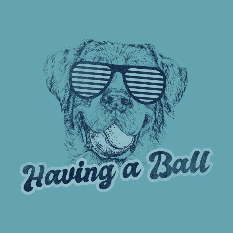 Having a Ball - Sweatshirt Pullover Hoodie