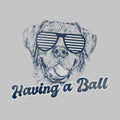 Having a Ball  - Ladies T-Shirt V-Neck