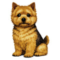 Norwich Terrier Watercolor - Ceramic Mug