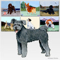 American Hairless Terrier Slate Sign