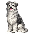 Pyrenean Shepherd Watercolor - Ceramic Mug