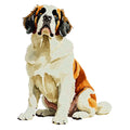 Saint Bernard Watercolor - Ceramic Mug