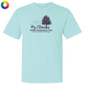 A light aqua blue short-sleeve t-shirt with a dark purple graphic on the chest depicting a tree, pumpkins, and the text 'SPOOKY SEASON SOCIAL CLUB' and 'PALM. NAPA, CA'.