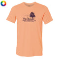 A peach-colored short-sleeve t-shirt with a dark graphic on the chest depicting a tree, a baseball, and the text 'SPOON SHOOT SOCIAL CLUB' and 'BOSTON, MASSACHUSETTS'. A small multicolor color wheel icon is visible in the top-left corner.