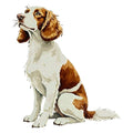Welsh Springer Spaniel Watercolor - Ceramic Mug