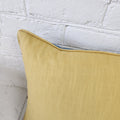 Azawakh Pillow Cover