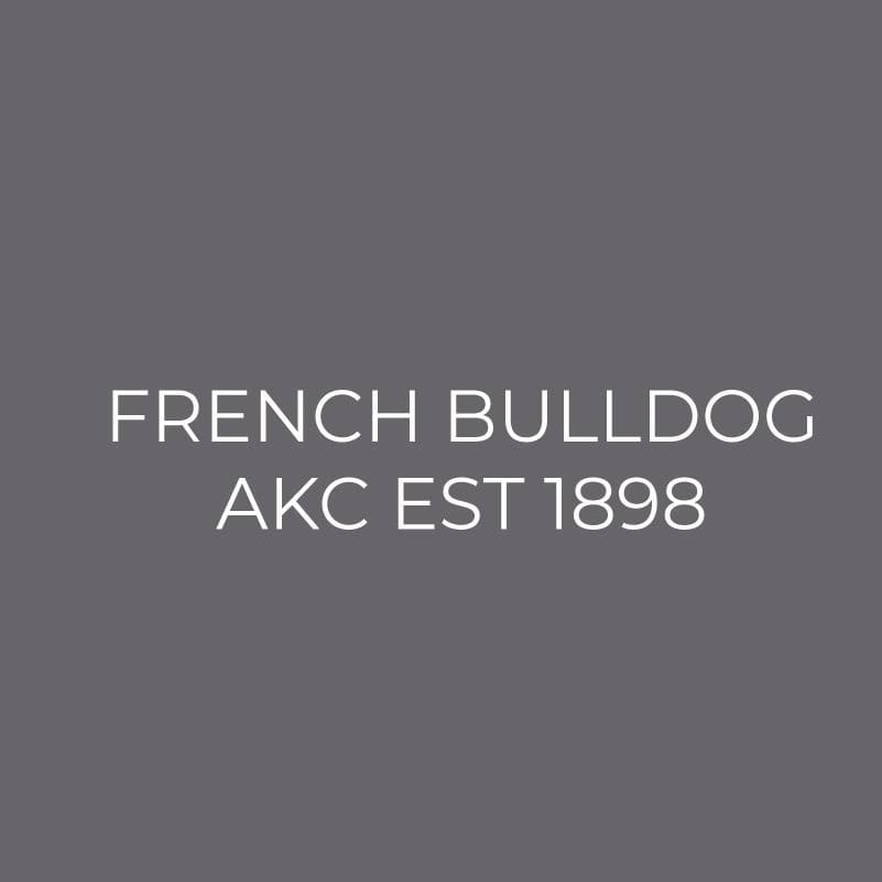 French Bulldog Embroidered AKC Men's Polo