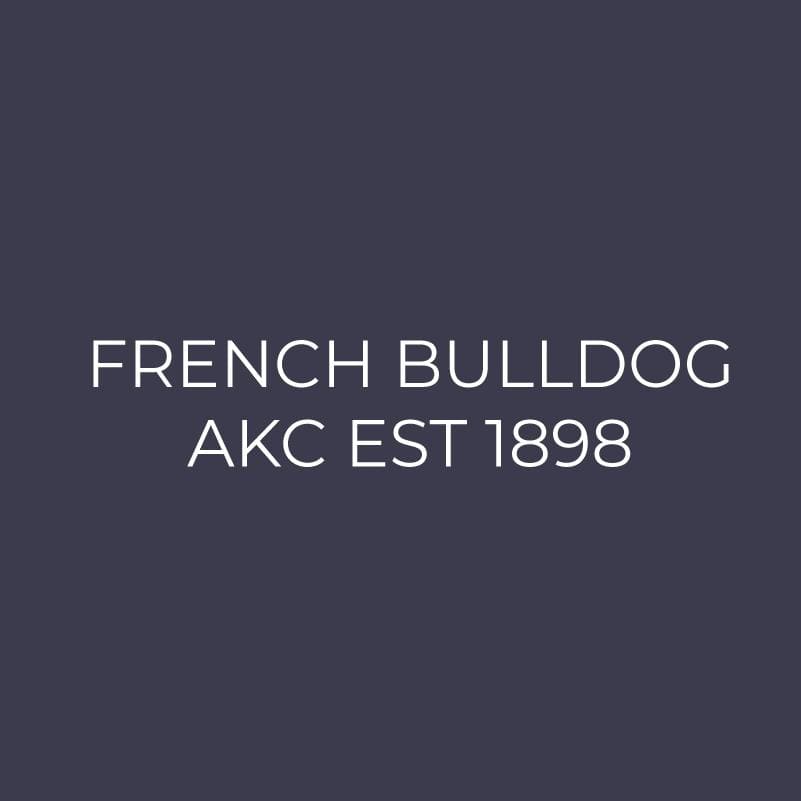 French Bulldog Embroidered AKC Men's Polo