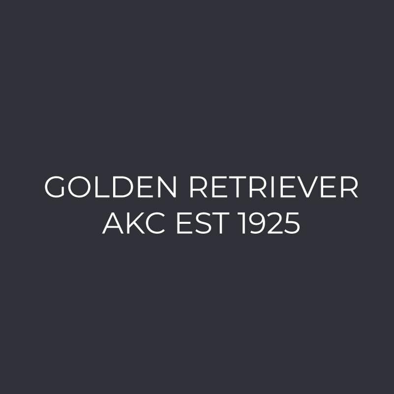 Golden Retriever Embroidered AKC Men's Polo