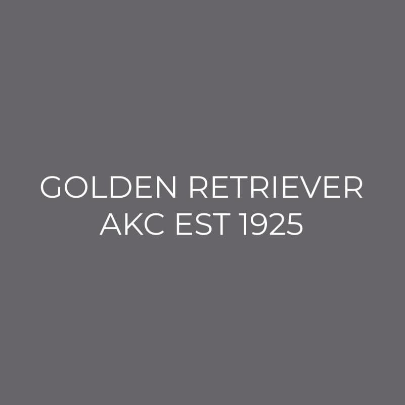 Golden Retriever Embroidered AKC Men's Polo