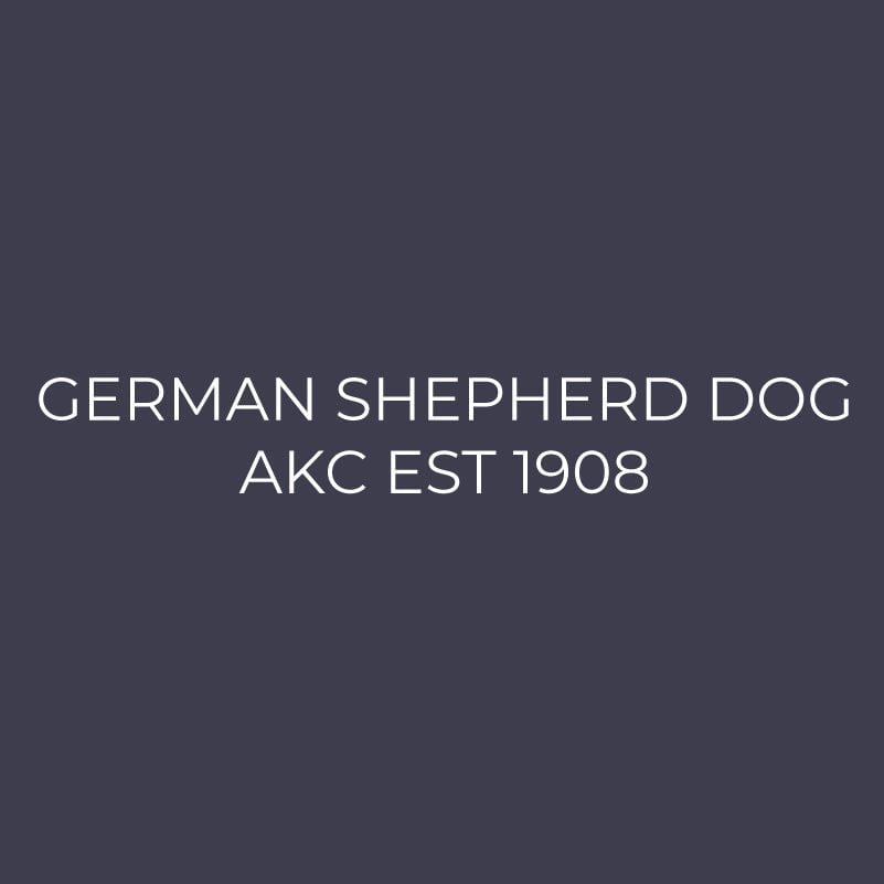 German Shepherd Dog Embroidered AKC Men's Polo