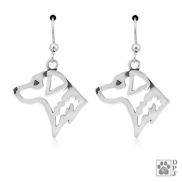 Chesapeake Bay Retriever, Head, Earring