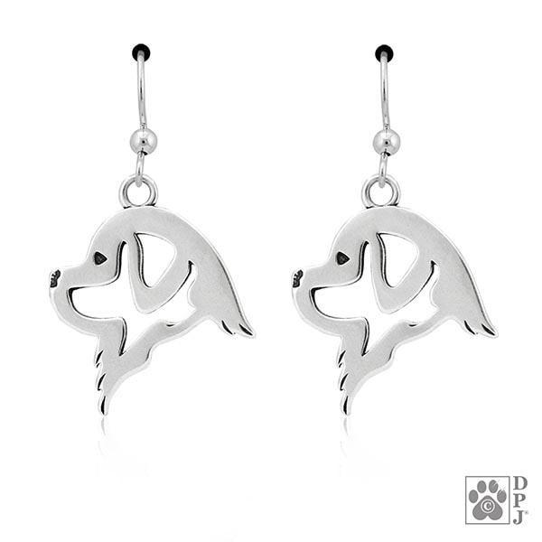 Newfoundland, Head, Earring