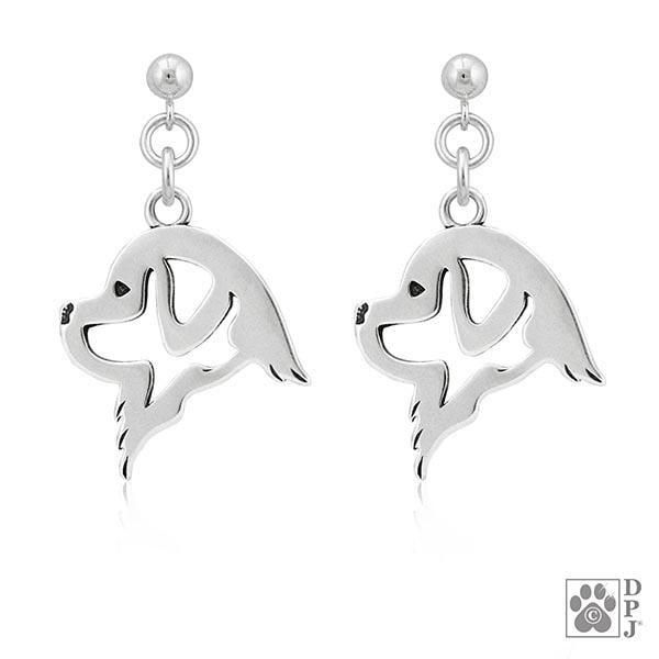 Newfoundland, Head, Earring