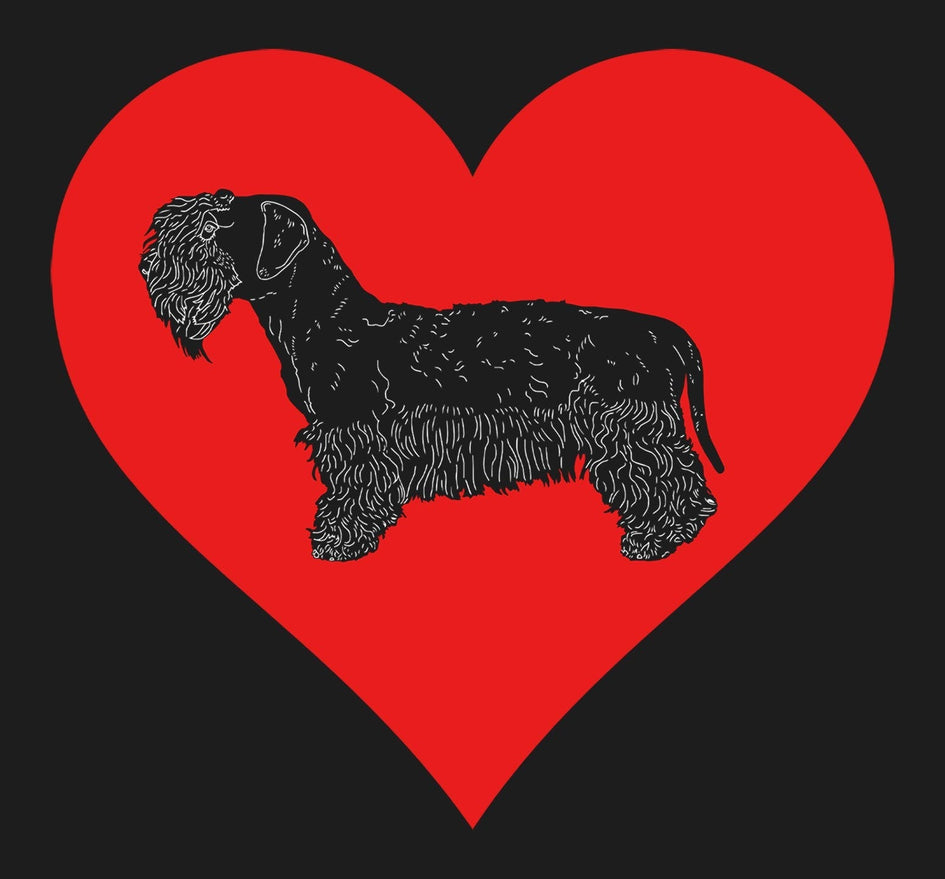 Cesky Terrier on Heart Left Chest - Full-Zip Hoodie Sweatshirt