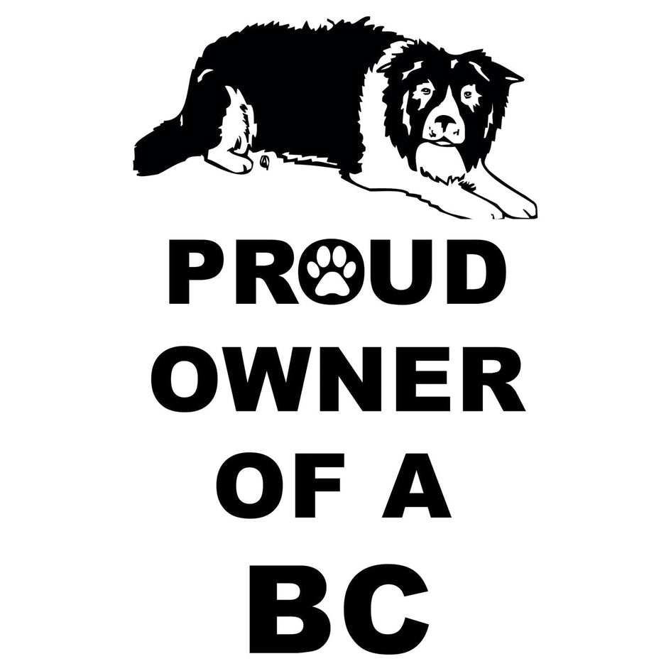 Border Collie Proud Owner - Women's V-Neck T-Shirt
