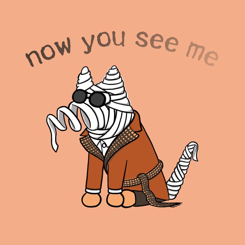 Now You See Me - Lightweight Tee