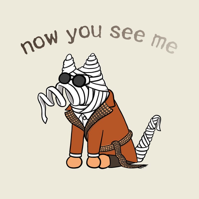 Now You See Me - Ladies T-Shirt V-Neck