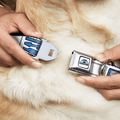 Star Wars R2-D2 Dog Collar