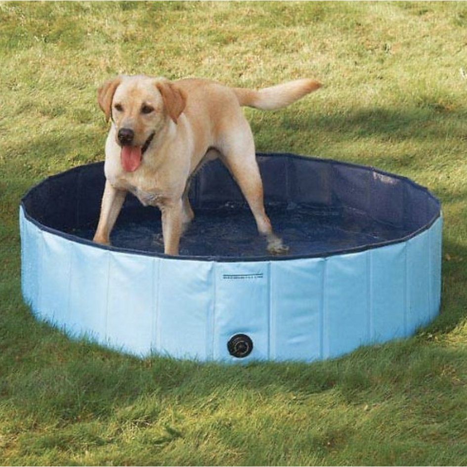 Cool Pup Splash About Dog Pool