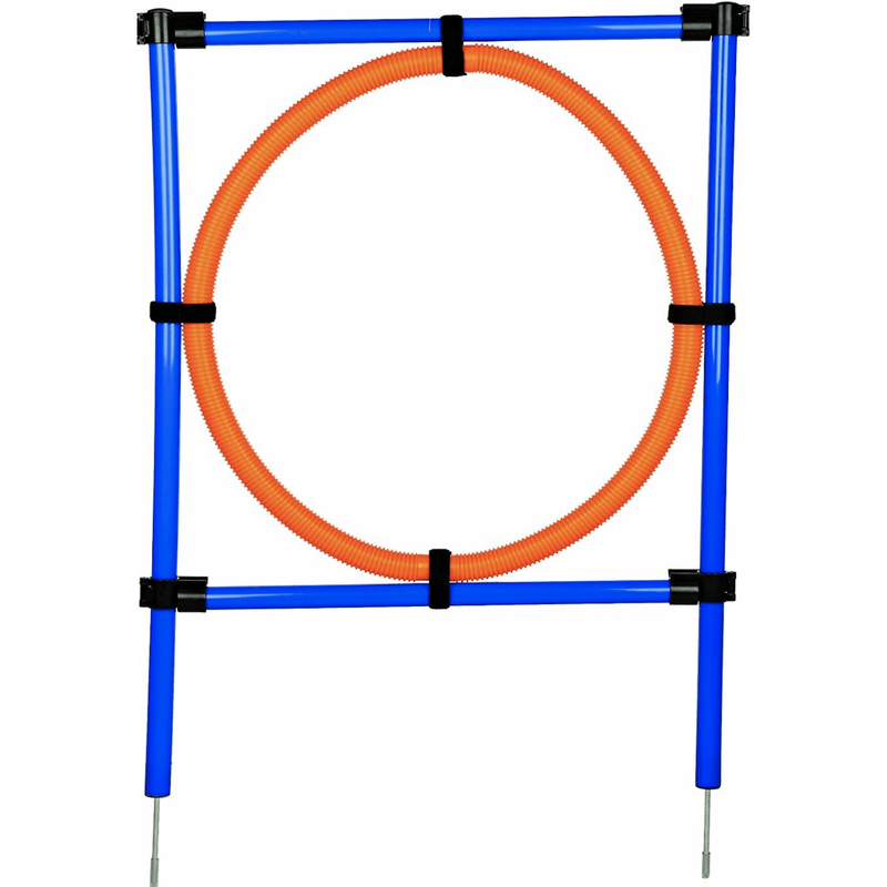 Trixie Agility Dog Training Ring