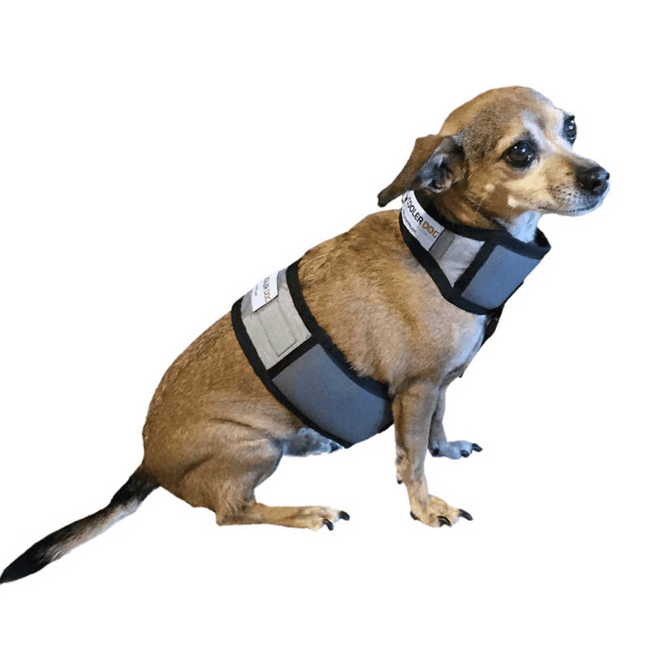 Cooling Vest and Collar