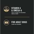 Purina Pro Plan Adult Large Breed Chicken & Rice Formula Dry Dog Food