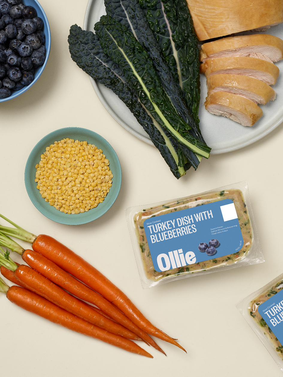 Ollie Custom Dog Food Subscription