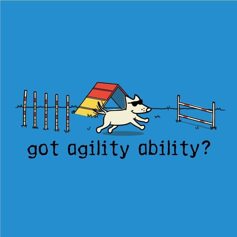 Teddy's Agility Ability Canvas Tote