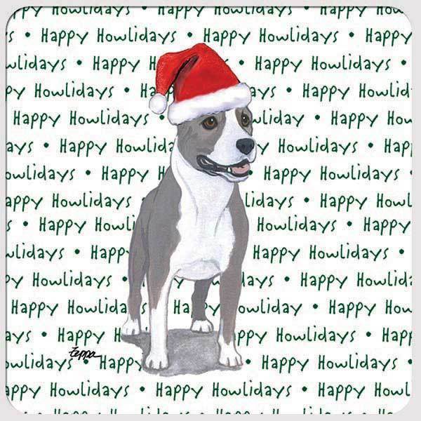 American Staffordshire Terrier 